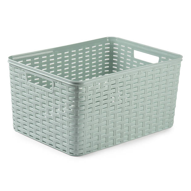Plasticforte opbergmand/kastmandje - 2x - 18 liter - mintgroen - kunststof - 28 x 38 x 19 cm - Opbergbox