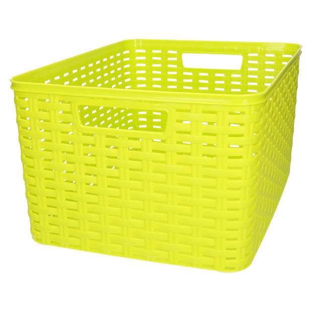 Plasticforte opbergmand/kastmandje - 2x - 18 liter - groen - kunststof - 28 x 38 x 19 cm - Opbergbox