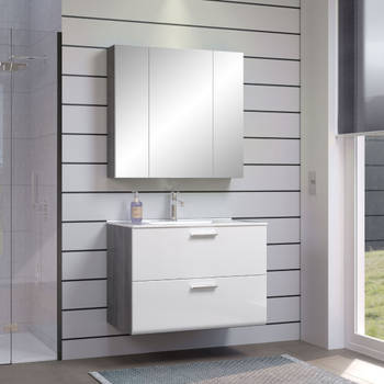 Riva badkamer F met spiegelkast decor rookzilver, wit hoogglans.