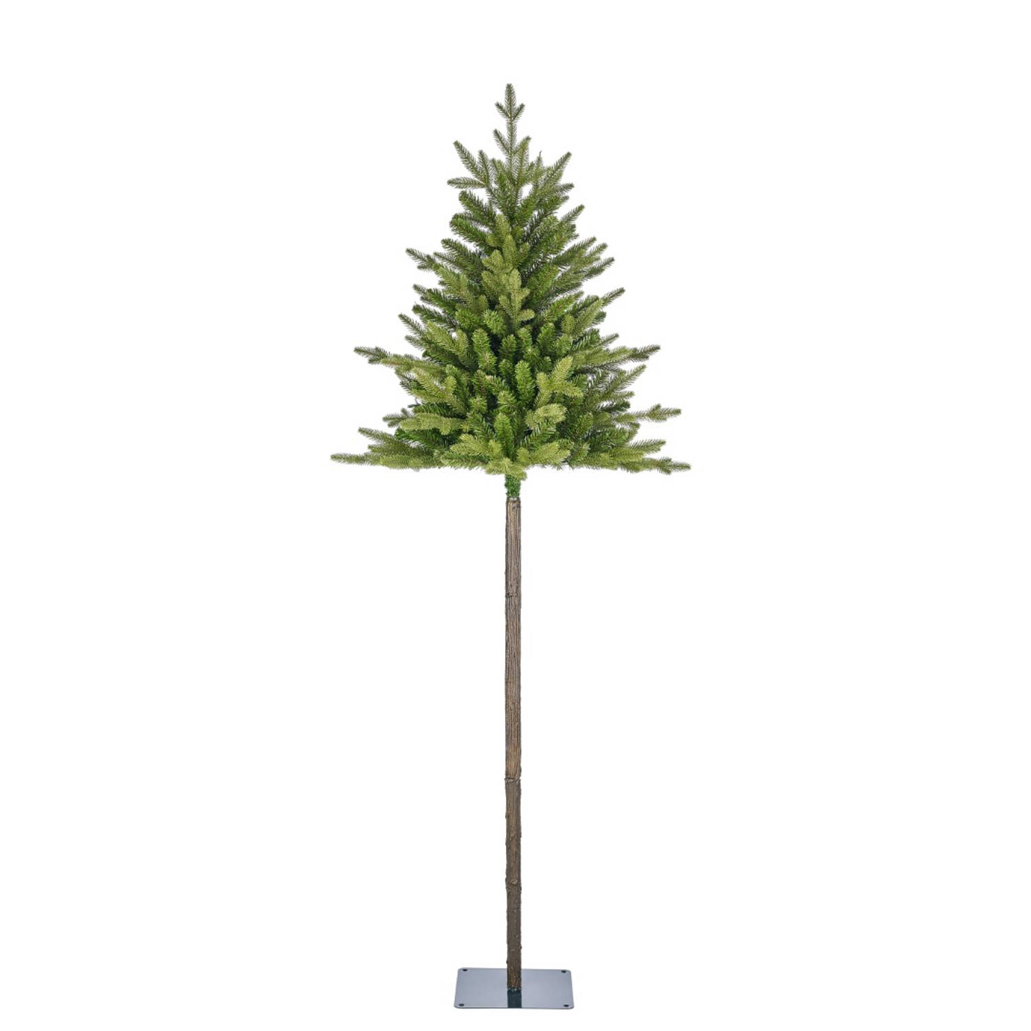 Black Box - Torrey x-mas tree green TIPS 420 - h230xd84cm