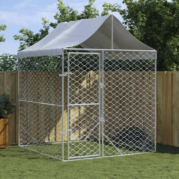 The Living Store Hondenkennel 2x2x2.5m - Gegalvaniseerd staal - Afsluitbare deur