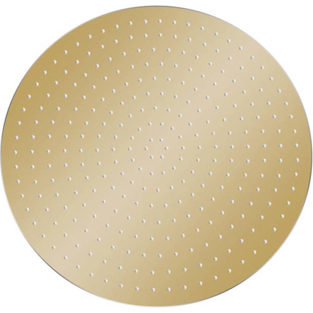 The Living Store Douchekop Rond - 40 cm Goud - Anti-kalksproeiers - 234 sproeigaten