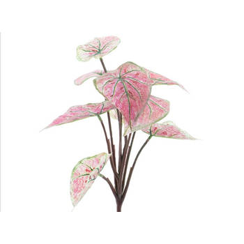 Nova Nature - Nova Nature Dieffenbachia plant pink 32 cm