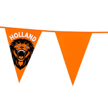 Vlaggenlijn XL - oranje met leeuw - 8 meter - 14 vlaggen - kunststof - Vlaggenlijnen