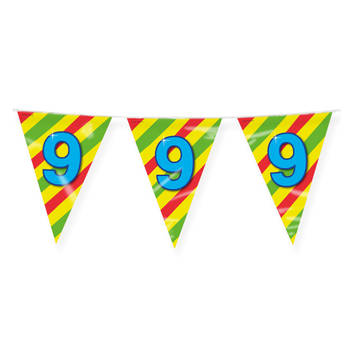 Paperdreams Verjaardag 9 jaar thema Vlaggetjes - Feestversiering - 10m - Folie - Dubbelzijdig - Vlaggenlijnen