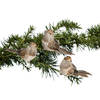 House of Seasons kerst mussen - 3x -decoratie vogels op clip - 4,5 cm - Kersthangers