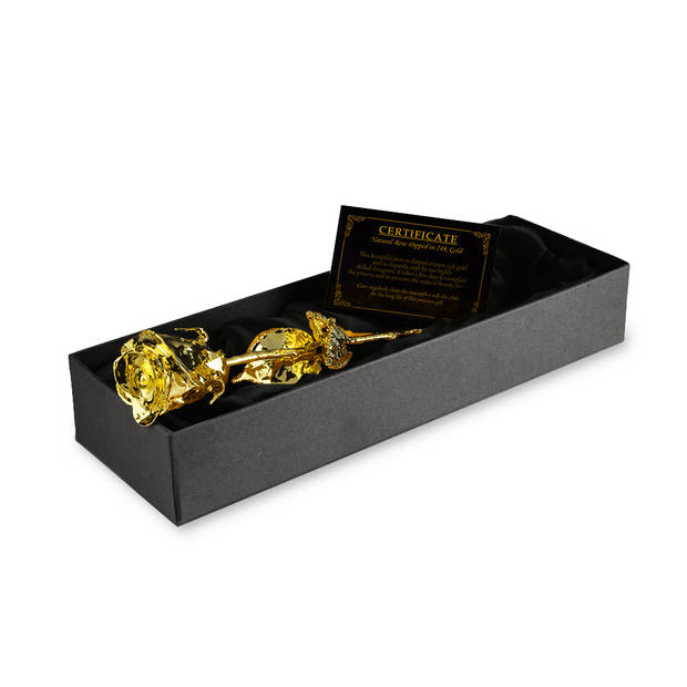 Gouden Roos Met Luxe Cadeauverpakking - Original