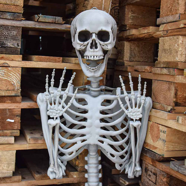 Human Size Skelet 170cm - Original
