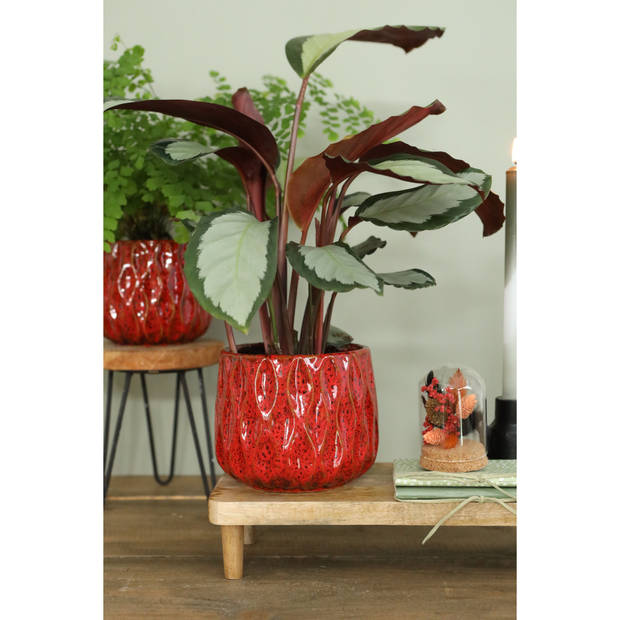 Ideas4seasons bloempot/plantenpot - dieprood - voor kamerplant - D15 x H12 cm - Plantenpotten