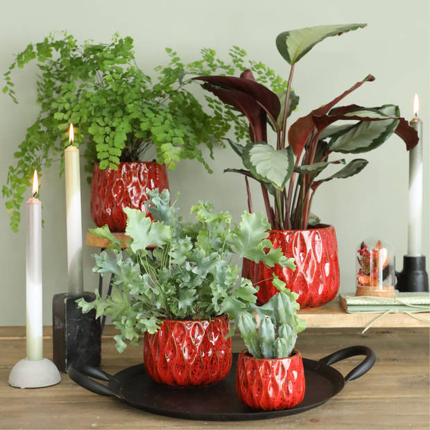 Ideas4seasons bloempot/plantenpot - dieprood - voor kamerplant - D15 x H12 cm - Plantenpotten