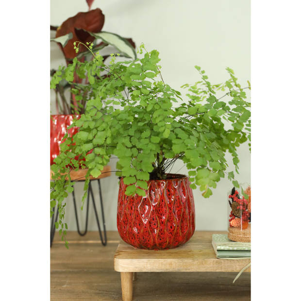 Ideas4seasons Bloempot/plantenpot - 2x - dieprood - voor kamerplant - D13 x H11 cm - Plantenpotten