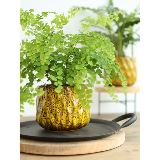 Ideas4seasons bloempot/plantenpot - okergeel - voor kamerplant - D13 x H11 cm - Plantenpotten