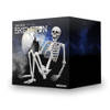 Human Size Skelet 170cm - Original