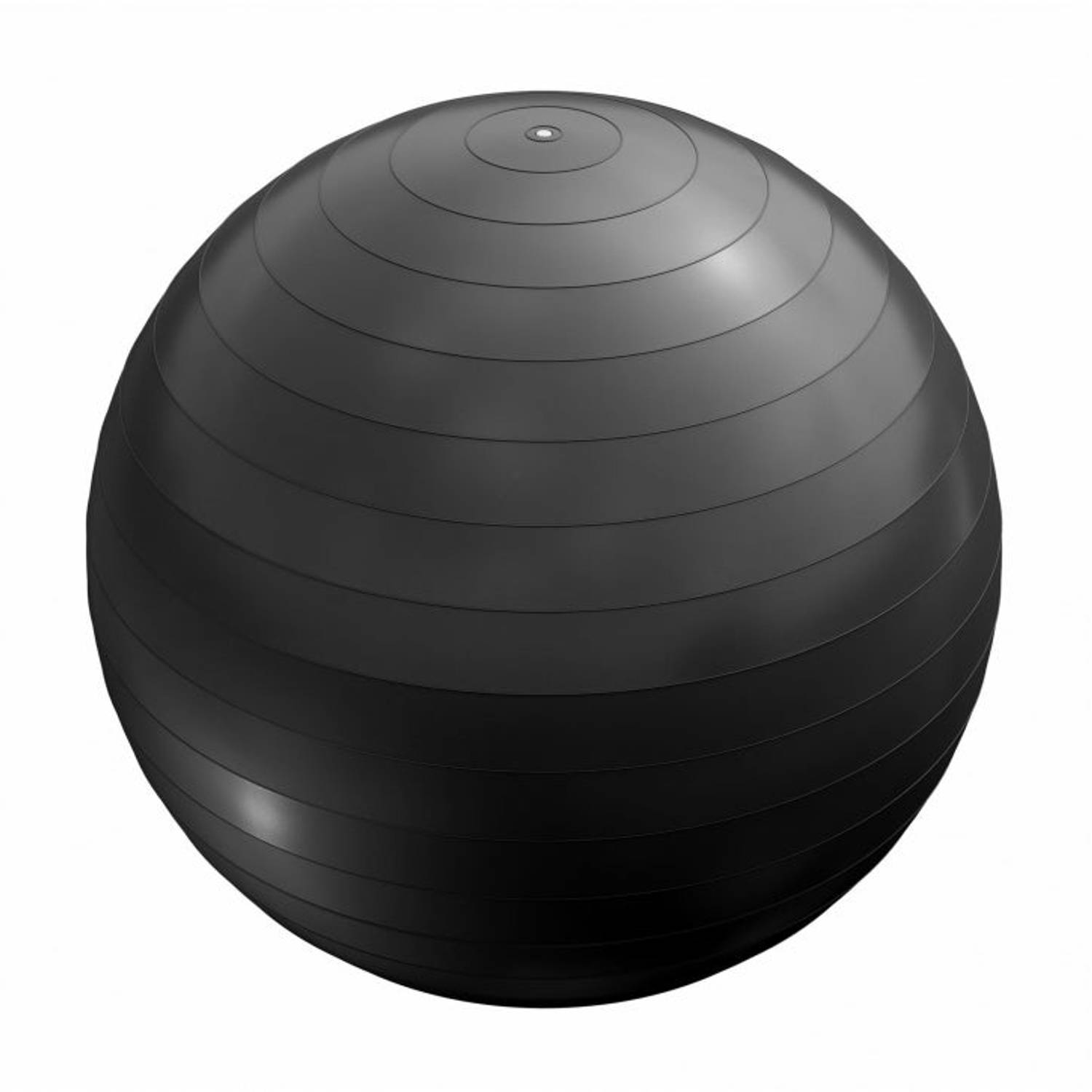 Fitness bal Zwart 55 cm inclusief pomp belastbaar tot 500 kg