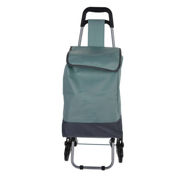 Boodschappen en losse spullen trolley - inhoud 30 liter - groen - met trap wielen - Boodschappentrolleys