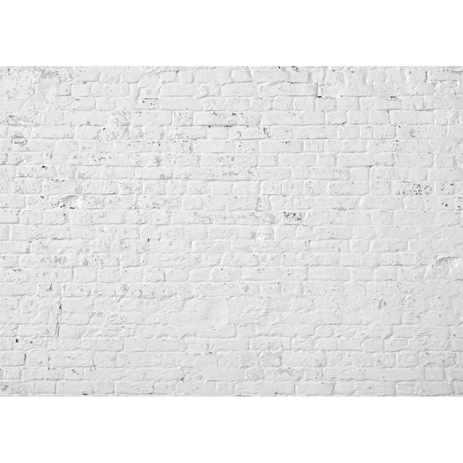 Inductiebeschermer - Witte Stenenmuur - 91,6x52,7 cm