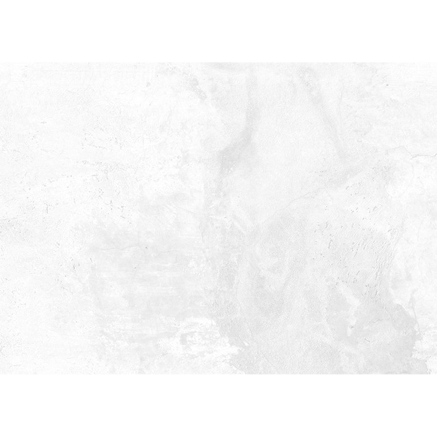 Inductiebeschermer - Ruwe Witte Muur - 95x50 cm