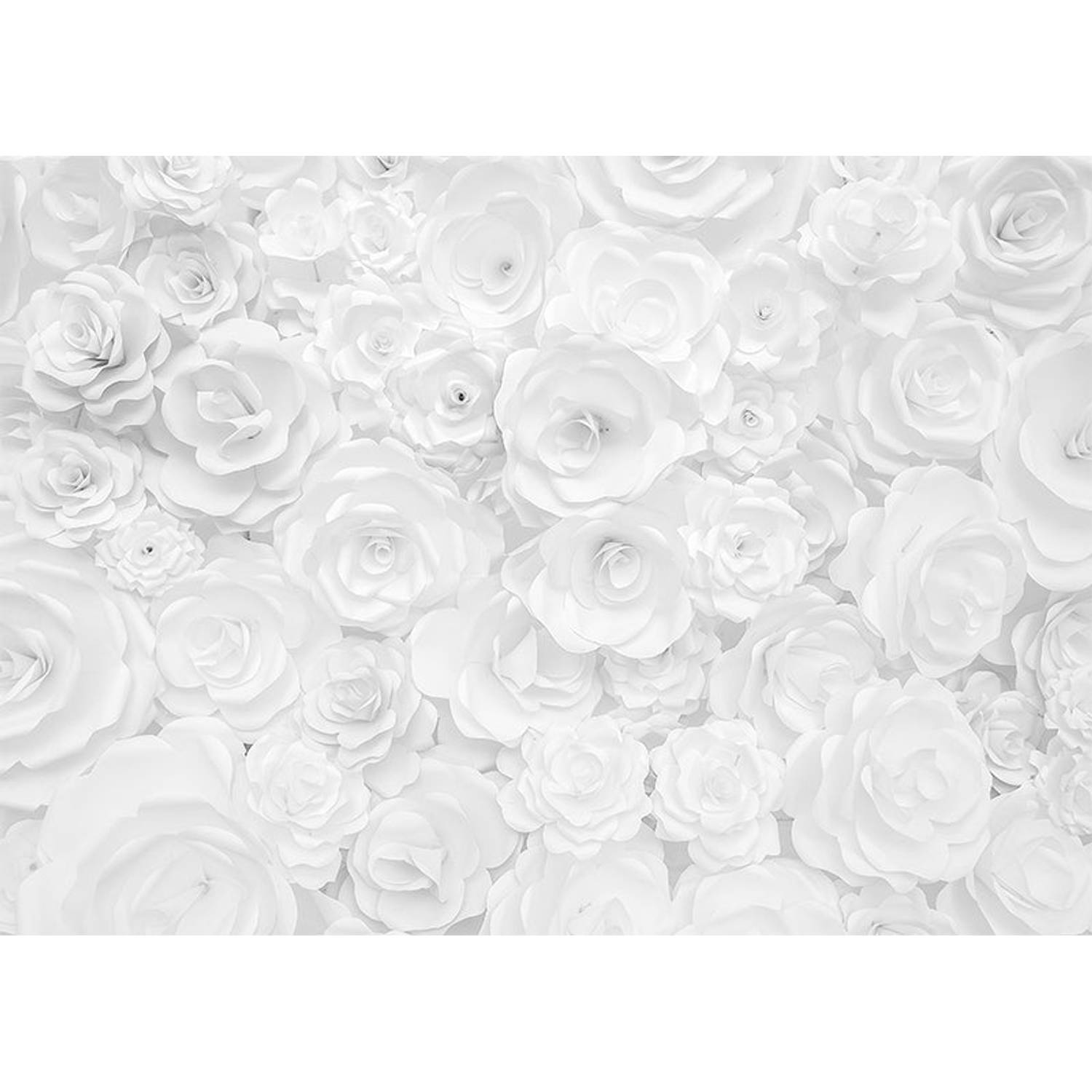 Inductiebeschermer - Witte Rozen - 76x51,5 cm