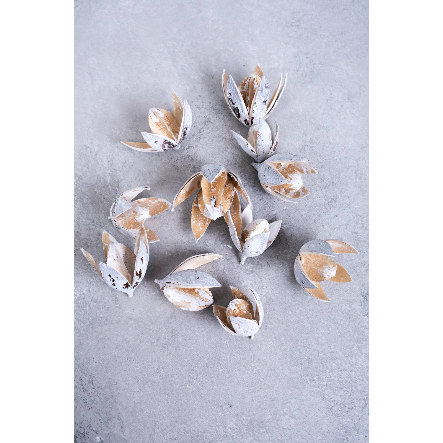 Couronne - Decoratie 'Wild Lily Flower' (10 stuks, White)