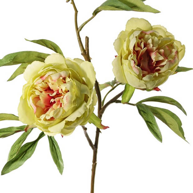 Topart Kunstbloem pioenroos Spring Dream - groen/roze - 73 cm - kunststof - Kunstbloemen