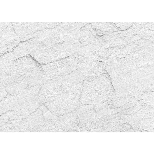 Inductiebeschermer - Gestucte Witte Muur - 80x52 cm