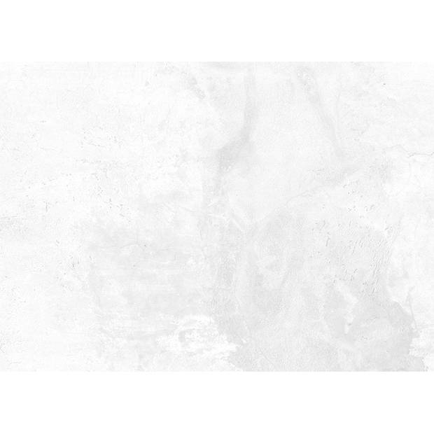 Inductiebeschermer - Ruwe Witte Muur - 91.2x52 cm