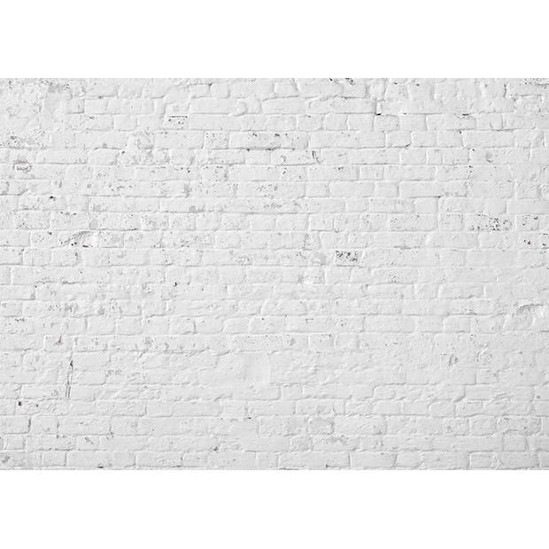 Inductiebeschermer - Witte Stenenmuur - 71x52 cm