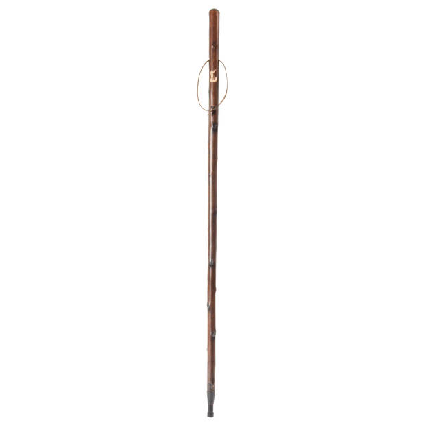 Classic Canes Jachtstok - Bruin - Jager - Met Jachthond - Kastanje hout - Lengte 122 cm - Wandelstok outdoor