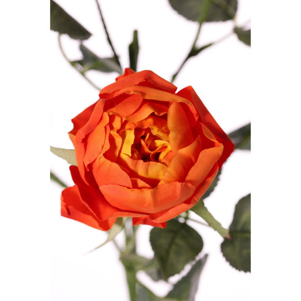 Top Art Kunstbloem roos Ariana - oranje - 73 cm - kunststof steel - decoratie bloemen - Kunstbloemen