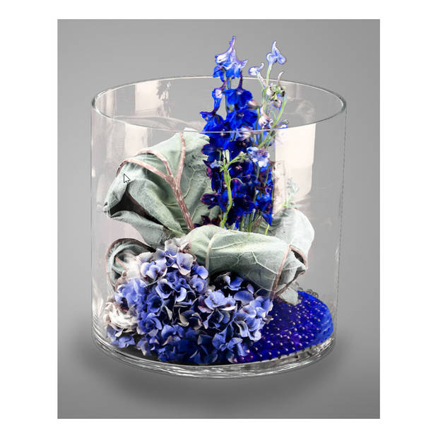 Glazen bloemen cylinder vaas/vazen 30 x 30 cm transparant - Vazen