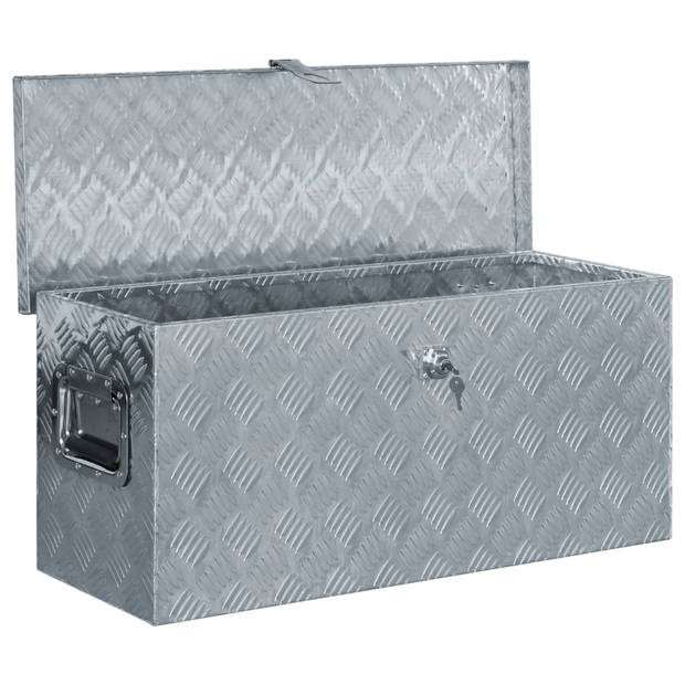 The Living Store Trailerkist Aluminium 80x30 cm - Ruime opbergbox met vergrendelsysteem - Zilver - Hoge kwaliteit
