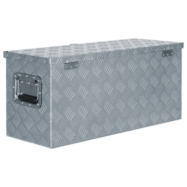The Living Store Trailerkist Aluminium 80x30 cm - Ruime opbergbox met vergrendelsysteem - Zilver - Hoge kwaliteit