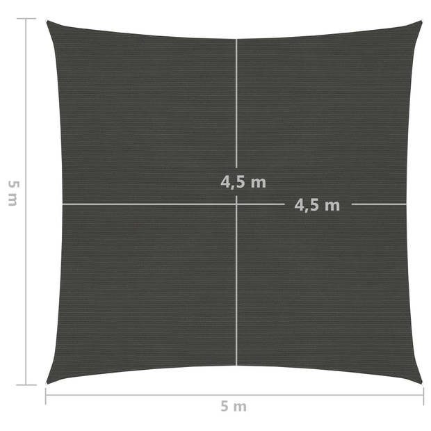 vidaXL Zonnezeil 160 g/m² 5x5 m HDPE antracietkleurig