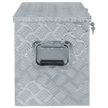 The Living Store Trailerkist - Aluminium Box - 90.5 x 35 cm - Roestbestendig