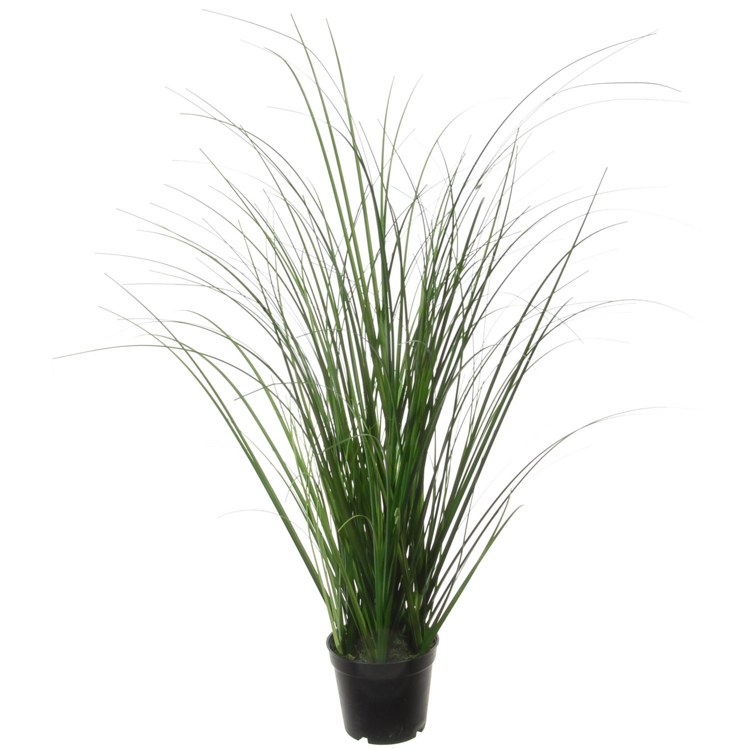 Louis Maes Quality kunstplant - Siergras bush - donkergroen - H55 cm - in pot