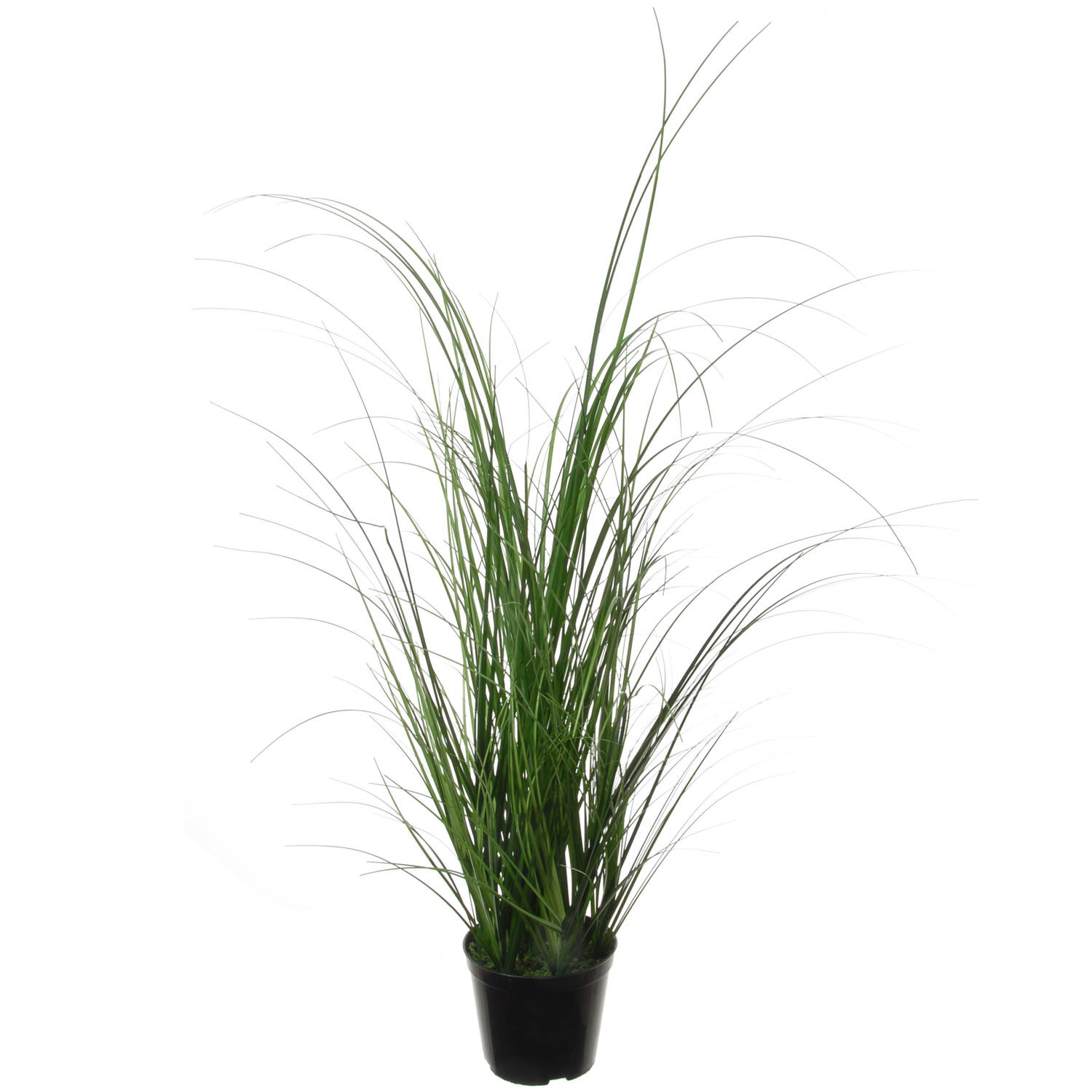 Louis Maes Quality kunstplant - Siergras bush sprieten - donkergroen - H65 cm - in pot