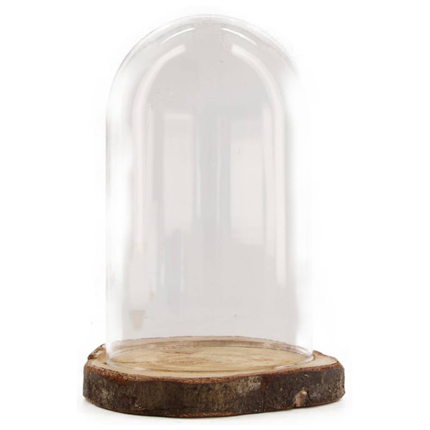 Dijk Natural Collections stolp - glas - houten bruin boomschijf plateau - D17 x H22 cm