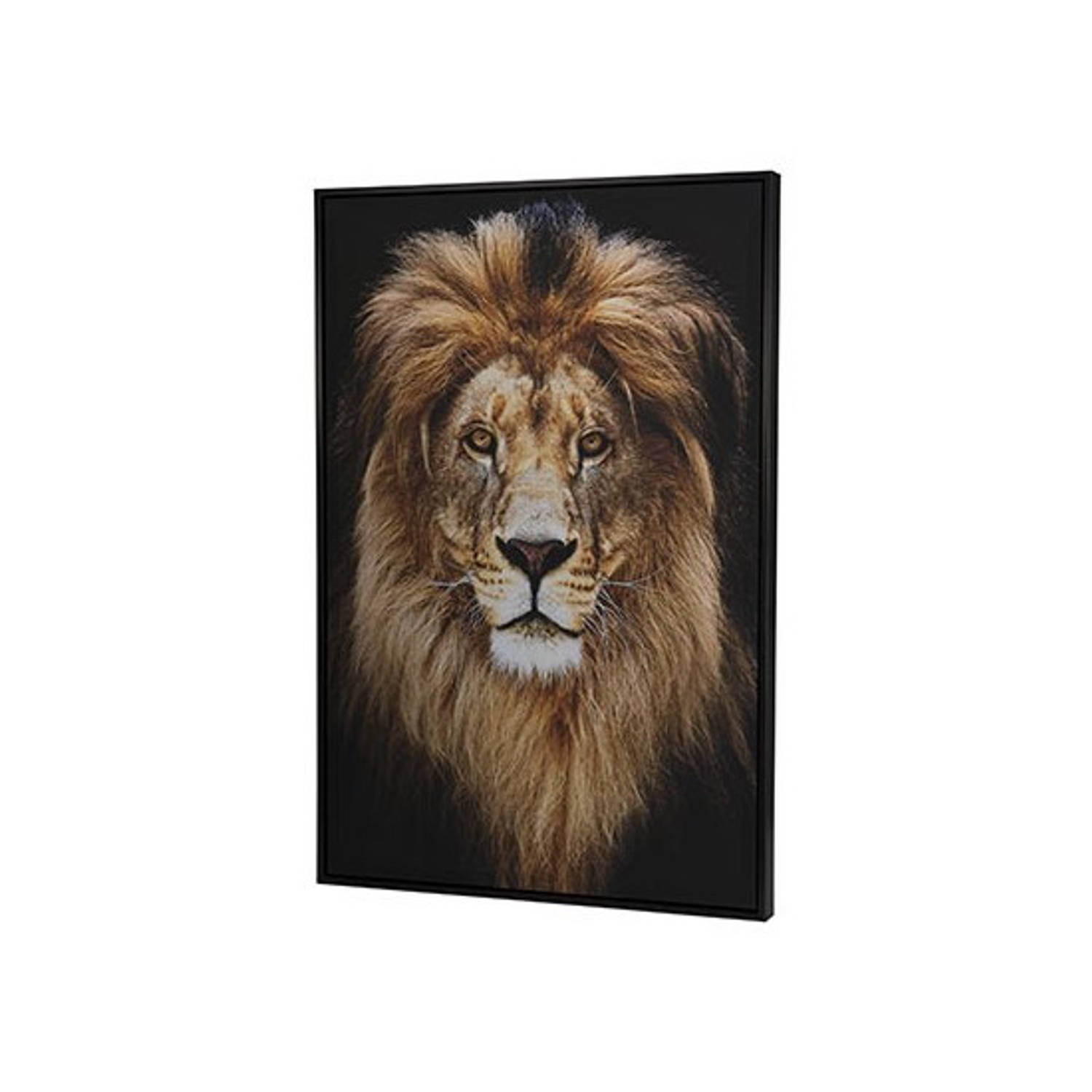 Canvas kantoor schilderij 90 x 60 cm leeuwen print Schilderijen