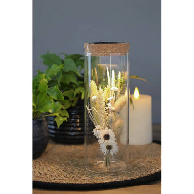 Ideas4seasons Pot/vaas van glas voor planten ecosysteem - deksel met LED verlichting - D8 x H16 cm - Vazen