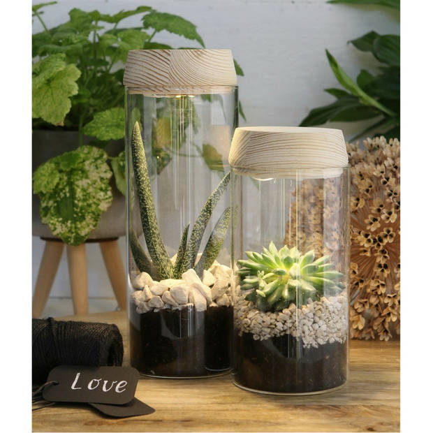 Ideas4seasons Pot/vaas van glas voor planten ecosysteem - deksel met LED verlichting - D8 x H18 cm - Vazen