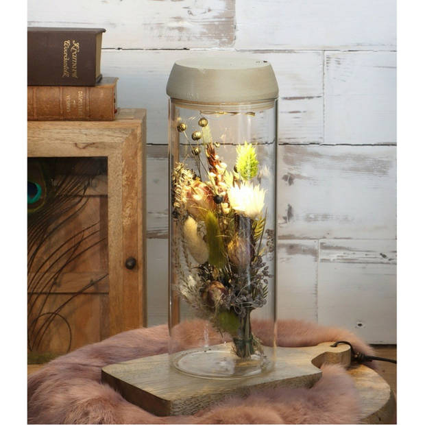 Ideas4Seasons Pot/vaas van glas voor planten ecosysteem - deksel met LED verlichting - D8 x H23 cm - Vazen