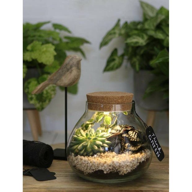 Ideas4seasons Pot/vaas van glas voor planten ecosysteem - deksel met LED verlichting - D15 x H14 cm - Vazen