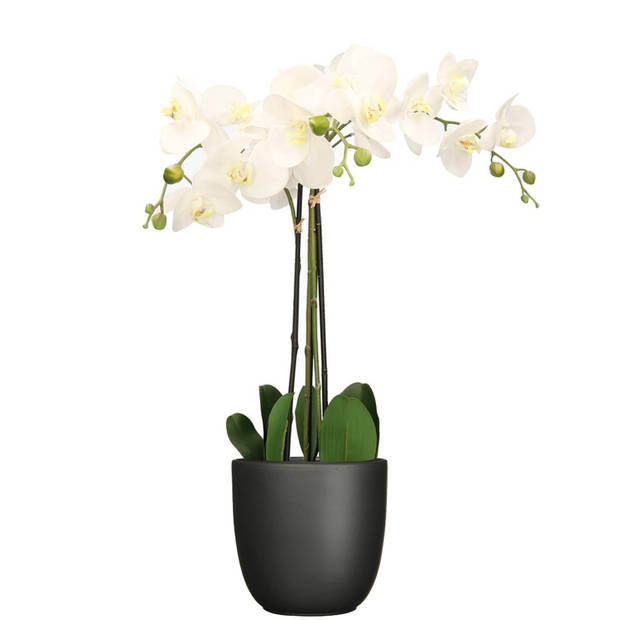 Orchidee kunstplant wit - 75 cm - inclusief bloempot zwart mat - Kunstplanten