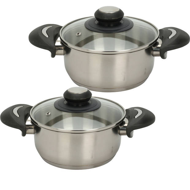 Excellent Houseware Kookpannen set - 2x - glazen deksel - RVS - 2.7 en 5.4 liter - Kookpannen