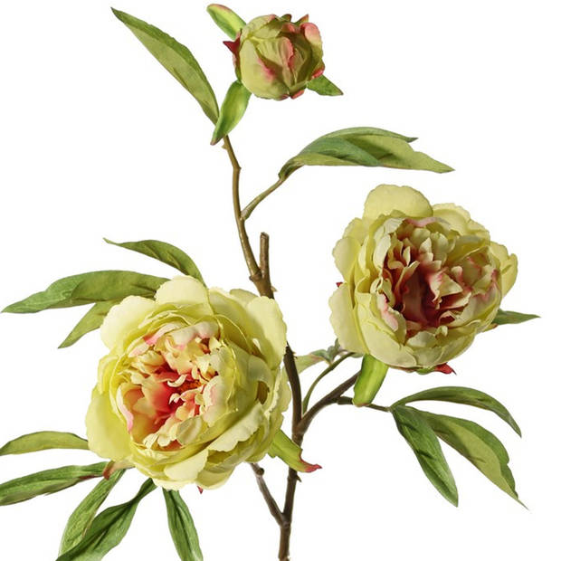 Topart Kunstbloem pioenroos Spring Dream - groen/roze - 73 cm - kunststof - Kunstbloemen
