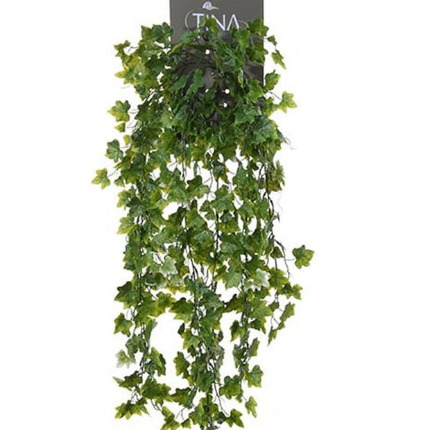 Louis Maes kunstplant met blaadjes hangplant Klimop/hedera - 2x - groen/wit - 80 cm - Kunstplanten