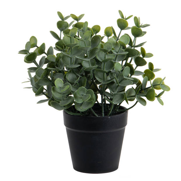 Eucalyptus Kunstplant - 2 stuks - in pot - groen - H20 cm - Kunstplanten