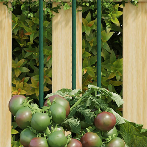The Living Store Plantenstaken - Metaal - 0.8 x 60 cm - Ondersteunende en duurzame steunstokken - Geschikt voor diverse