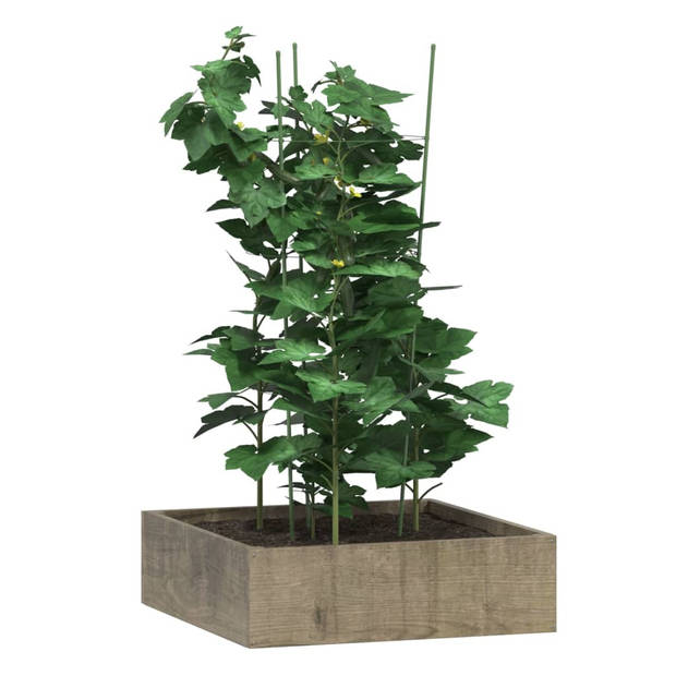 The Living Store Plantensteunen - Tomatenkooi - 28/25.5/22.5 x 75 cm - Groen - Staal met polypropeencoating - Set van 5