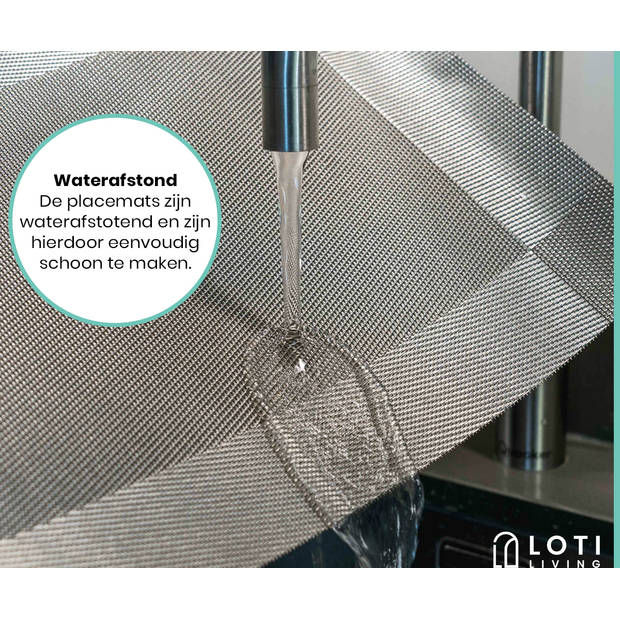 Loti Living Placemats 4 Stuks – Placemats Kunststof – Placemats Plastic - Onderlegger -30x45cm – Metallic grijs